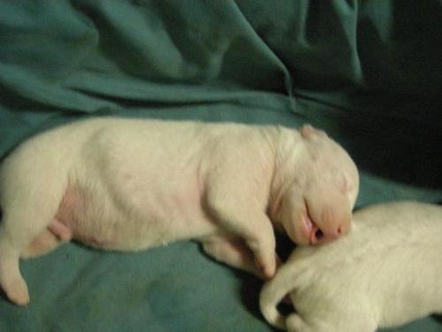 spot505's profile picture. 