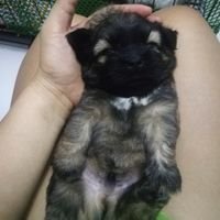 LancelzackaelC's profile picture. Happy fun to be with