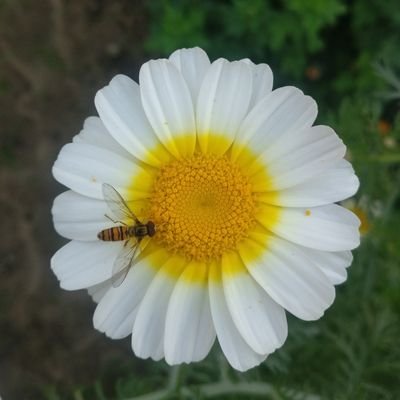 RAJESHK25172196's profile picture. 