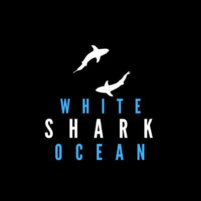 Shark Media and Expeditions!