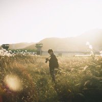 ひ め ぽ よ (@lol_hime_) 's Twitter Profile Photo