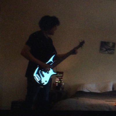 willo_dcr's profile picture. 🦡📱📸🎤🎬🎧 was once called “very cool”