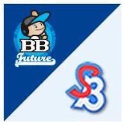 日本少年野球連盟（ボーイズリーグ）大阪阪南支部所属、堺ビッグボーイズの公式Twitterです。