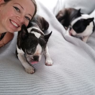 carlybrid's profile picture. 