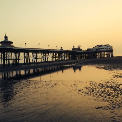 tamag22's profile picture. 