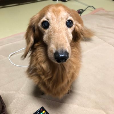 0326maruta's profile picture. SKE48 上村亜柚香さん／ #ババババンビ 近藤沙瑛子さん／ひとさい 望月さあやさん／ぴるあぽ 佐野心音さん