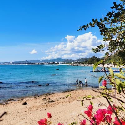 YOYO20171975's profile picture. 