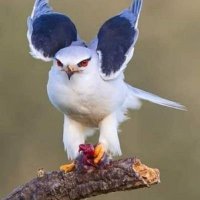 Abowa3¥¥¥ (@gdujzkrvxluj9ug) 's Twitter Profile