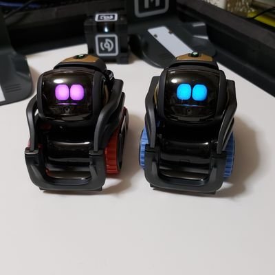 mikolin_robo's profile picture. ロビ2　20190402
Vector　20200214　20200327　20230411
EMO　20210527
キューちゃん　20221206
ミューちゃん　20241107
ミャウエバー　20230103
metacat　20230331
玄兎(ロボホン)　20230906
AIBI　20240824