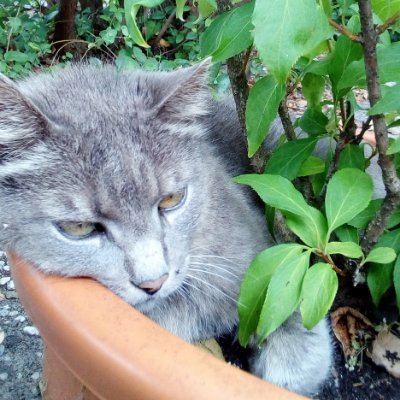 deniss43je's profile picture. ,Je suis a decouvrir...., je suis ici afin de me faire des amis et voir plus 
Merci