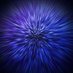 Stefan Savov (@stefan_savov) Twitter profile photo Stefan Savov (@stefan_savov) Twitter profile photo