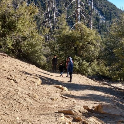 everard07736782's profile picture. 