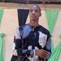 Ilufoye Emmanuel Adewumi (@immanuelilufoye) 's Twitter Profile