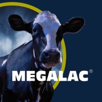 Megalac(@MegalacUK) 's Twitter Profile Photo