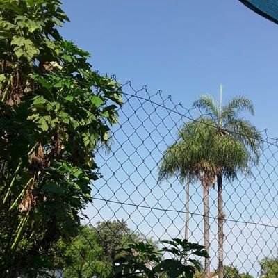 Lima09668176's profile picture. 👌