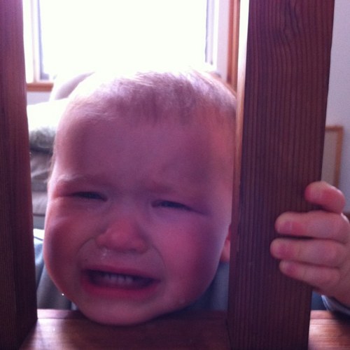 kaschleyer's profile picture. Owner of @fablediner