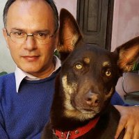 fer_ragone (@fer_ragone) 's Twitter Profile