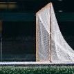 Edmond Phillips (@lacrossebar) 's Twitter Profile