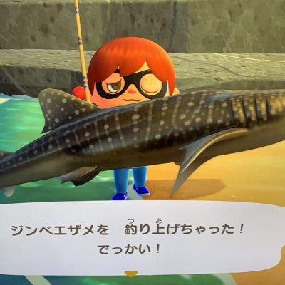 MH9Dr0aokVEOsQp's profile picture. どうぶつの森専用アカです。