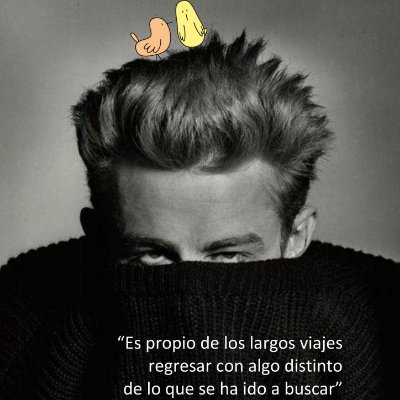 2_pajaros's profile picture. @2PÁJAROS