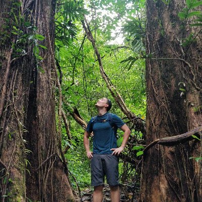 ArnaudPichon's profile picture. 