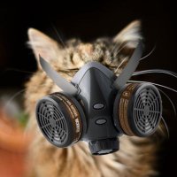 inconformista πͺπ¦β€οΈπΊπ¦ (@inconformiston) 's Twitter Profile