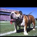 Jackson Caldwell - @dogseatrebs7 - Twitter