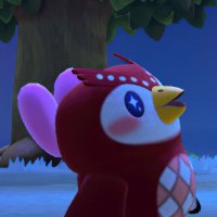 arctic (@arcticvip3r) 's Twitter Profile