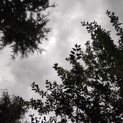 binti_zahoor's profile picture. Be it less but quality is the priority!