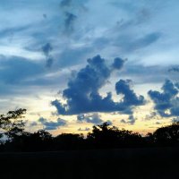 Al_tjoa (@altjoa) 's Twitter Profile