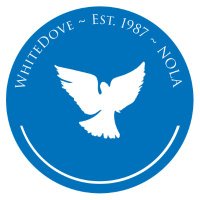 Dr. Michael P. Millé (@mike_mille) 's Twitter Profile