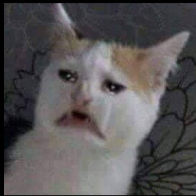 bangphamTweet's profile picture.