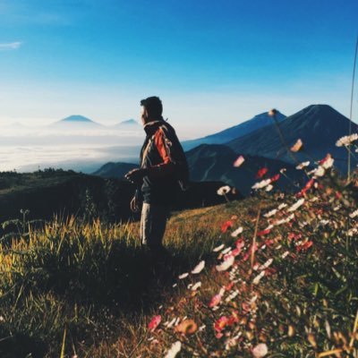 arigum's profile picture. 