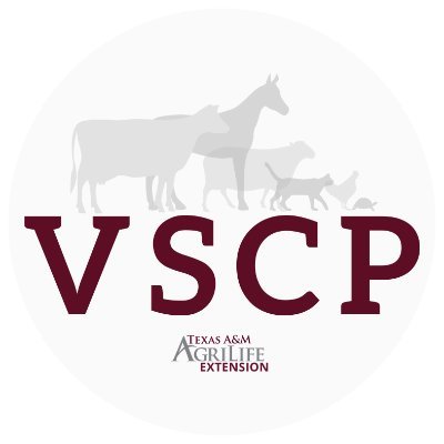 Texas A&M AgriLife Extension | VSCP provides a platform for students who wish to pursue a career in the veterinary science field. vetscience@ag.tamu.edu