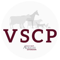 Veterinary Science Certificate Program(@VSCP_AgriLife) 's Twitter Profile Photo