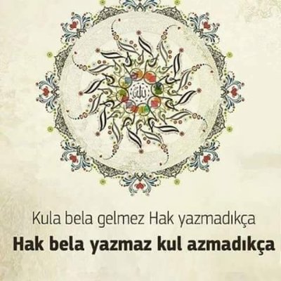 Selim01741010's profile picture. 