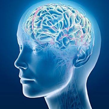 planeta_proximo's profile picture. Un mundo nuevo y mejor es posible. Año 1 después del Covid19.