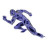 MuscleScience's profile picture. Researching how exercise, nutrition and aging alter musculoskeletal function