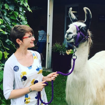 ChloeRebeccaRey's profile picture. Library worker. Devon girl. Books are the best. She/her.