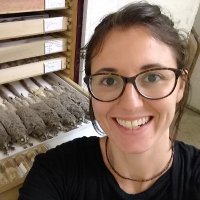 Anna Penna (@strepsiprimate) 's Twitter Profile Photo Anna Penna (@strepsiprimate) 's Twitter Profile Photo