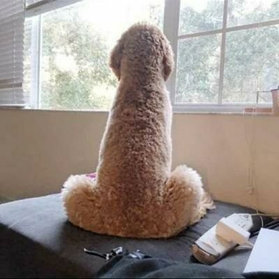 G007Pooh's profile picture. aloof. distant. zen.