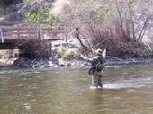 I'm a Fly Fisherman.I will always be a Fly Fisherman.It is not something I do,it is who I am.For me,flyfishing is not an escape,it is where I belong . . .