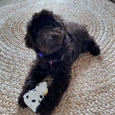 MejoeseMelissa's profile picture. 