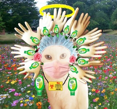 harlequin_van's profile picture. Flirty and naughty OTRB angel.