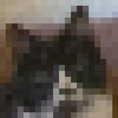 UnmeasuredNick's profile picture. Certified PT in Oregon
Book: https://t.co/aNVcwKiD8r