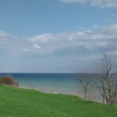 pkaranth98's profile picture. Student