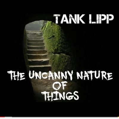 I never quit . I never gave up . I lived true to my name . Despite life , society , the oppression of my conflicted soul I was unstoppable - A TANK!