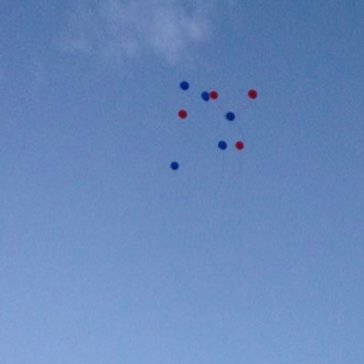 dvjr03's profile picture. 