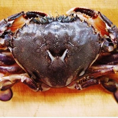 zeturyuurei's profile picture. 