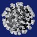 COVID-19 Host Genetics Initiative (@covid19_hgi) Twitter profile photo COVID-19 Host Genetics Initiative (@covid19_hgi) Twitter profile photo
